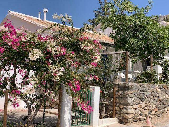 בית הארחה אל צ'ורו 	Casa Isabel - La Almona Chica מראה חיצוני תמונה